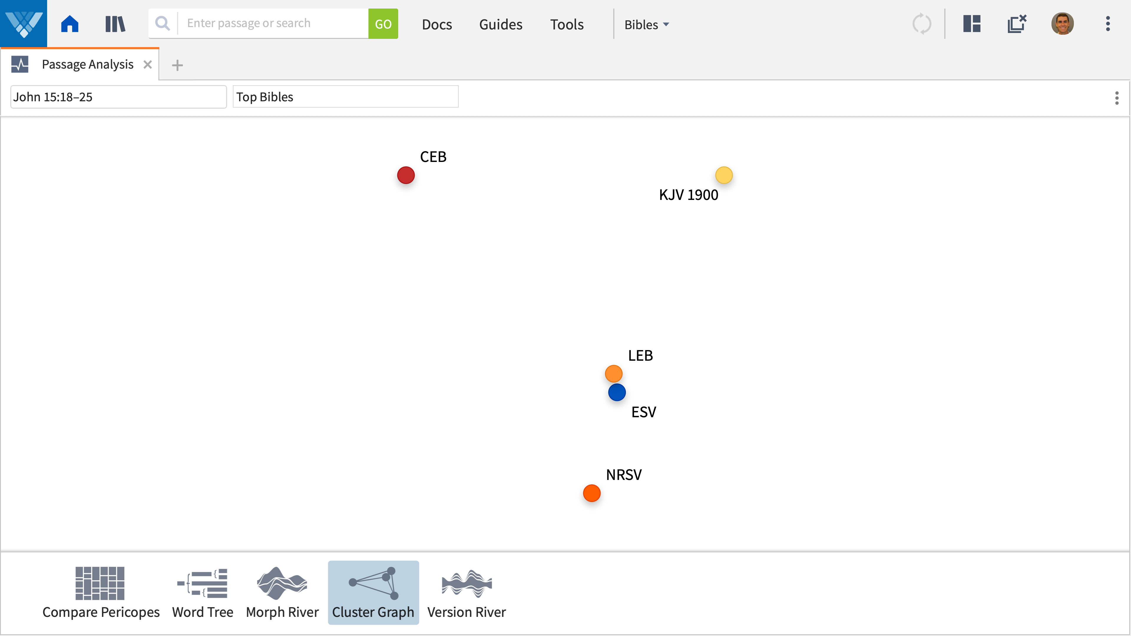 Cluster graph view