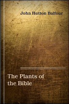 The Plants of the Bible