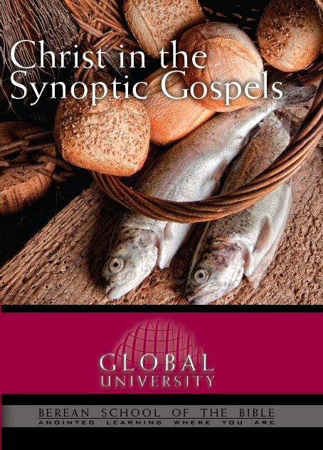 Christ in the Synoptic Gospels: BSB Level 1 [BIB 114]
