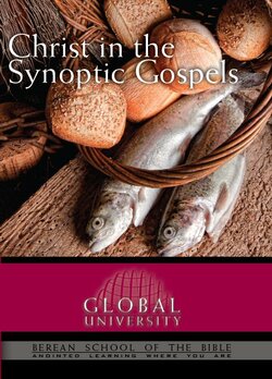 synoptic gospels bsb christ