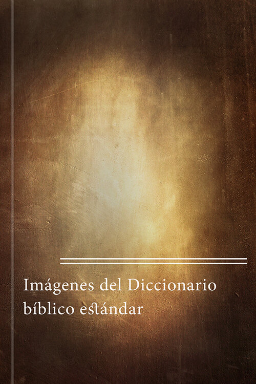 Imágenes del Diccionario bíblico estándar