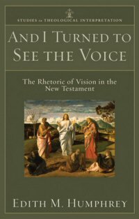 And I Turned to See the Voice: Rhetoric of Vision in the New Testament (Studies in Theological Interpretation)