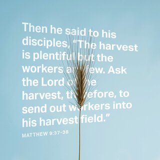 Beseech The Lord Of Harvest Matt9