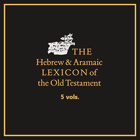 Hebrew and Aramaic Lexicon of the Old Testament | HALOT (5 vols.)