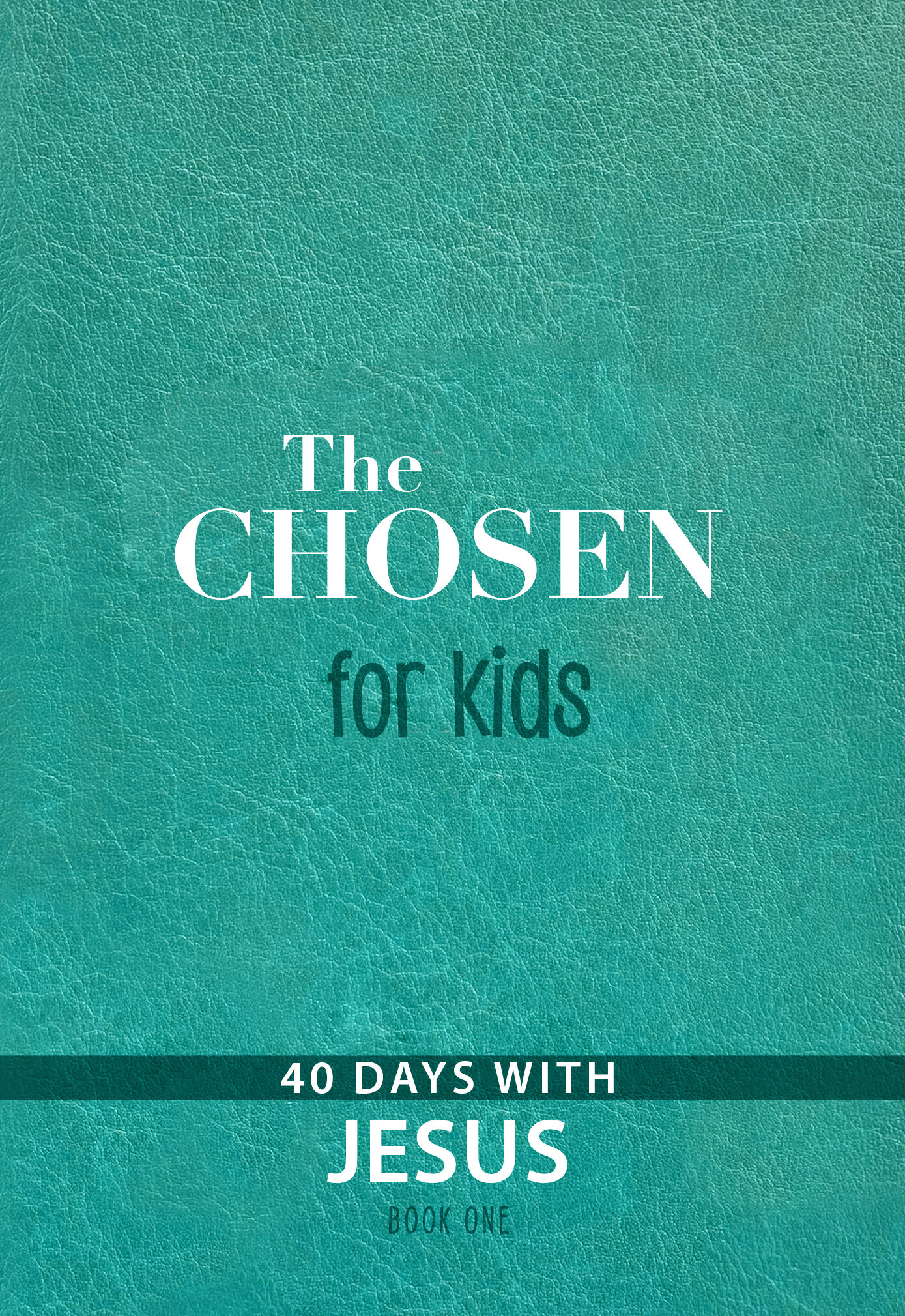 The Chosen for Kids – Book One: 40 Days with Jesus