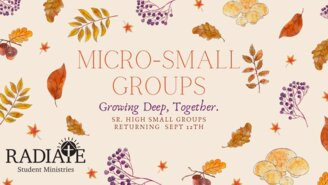Micro Small Groups(3)