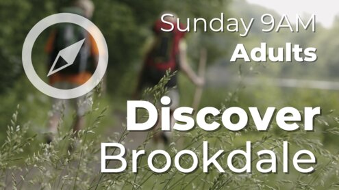 Discover Brookdale Slide