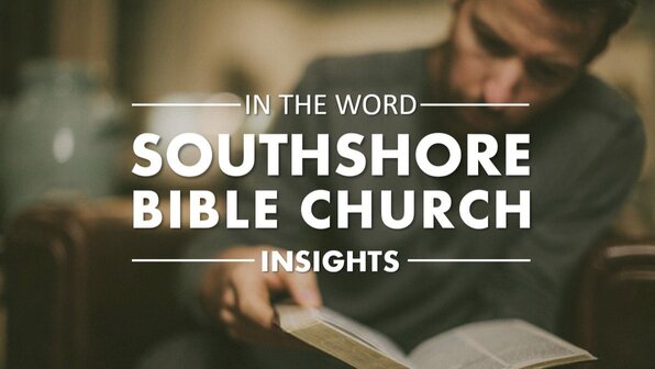 Insights