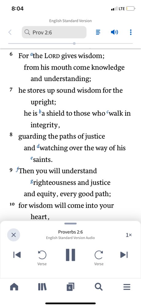 Scripture Screen shot vertical with tool bars