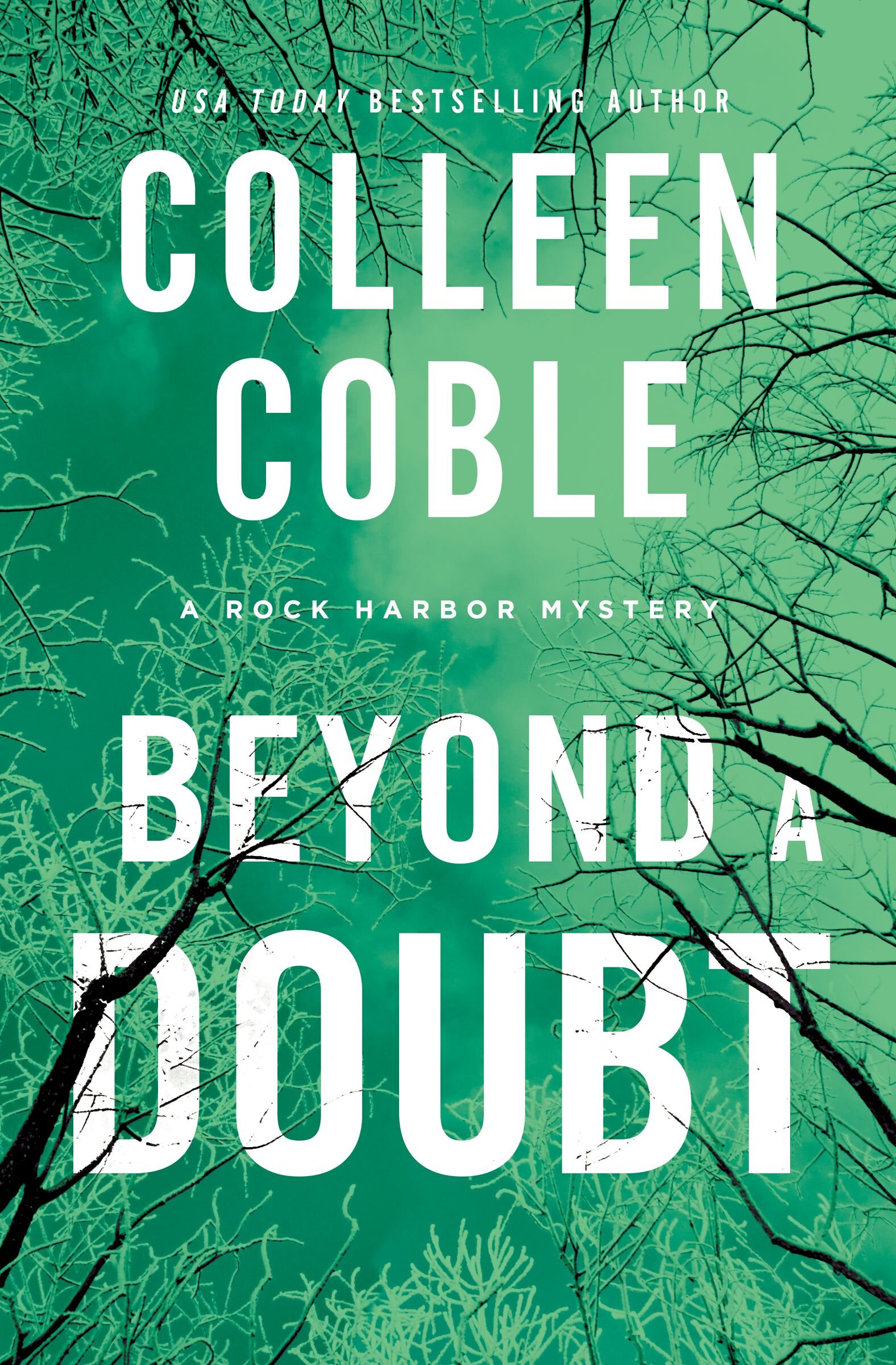 Beyond a Doubt: Rock Harbor Series