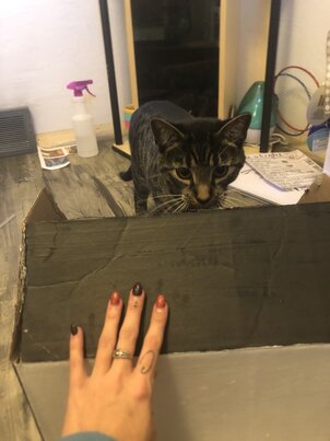 3077269A B85D-4E24-8515-FE7234468B66