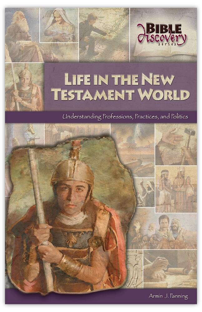 Life in the New Testament World: Understanding Professions, Practices, and Politics