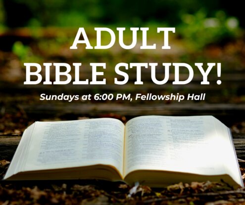 Sunday Adult Bible Study (2)