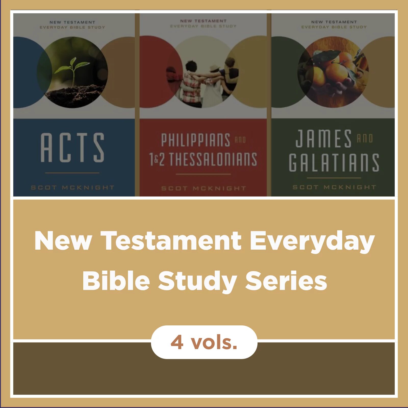 New Testament Everyday Bible Study Series (4 vols.) - Verbum