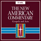 Gospels and Acts, 6 vols. (New American Commentary | NAC)