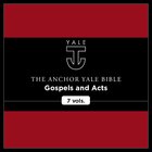 Gospels and Acts, 7 vols. (Anchor Yale Bible Commentary | AYBC)