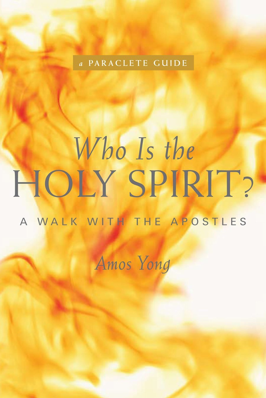 who-is-the-holy-spirit-a-walk-with-the-apostles-verbum