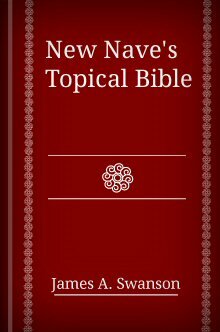 New Nave's Topical Bible 2.0