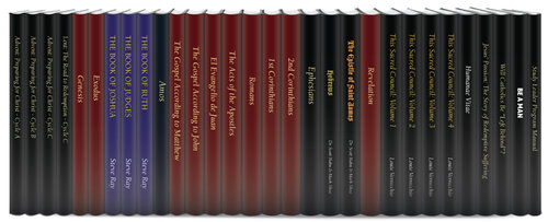 Catholic Scripture Study International Studies (30 vols.)