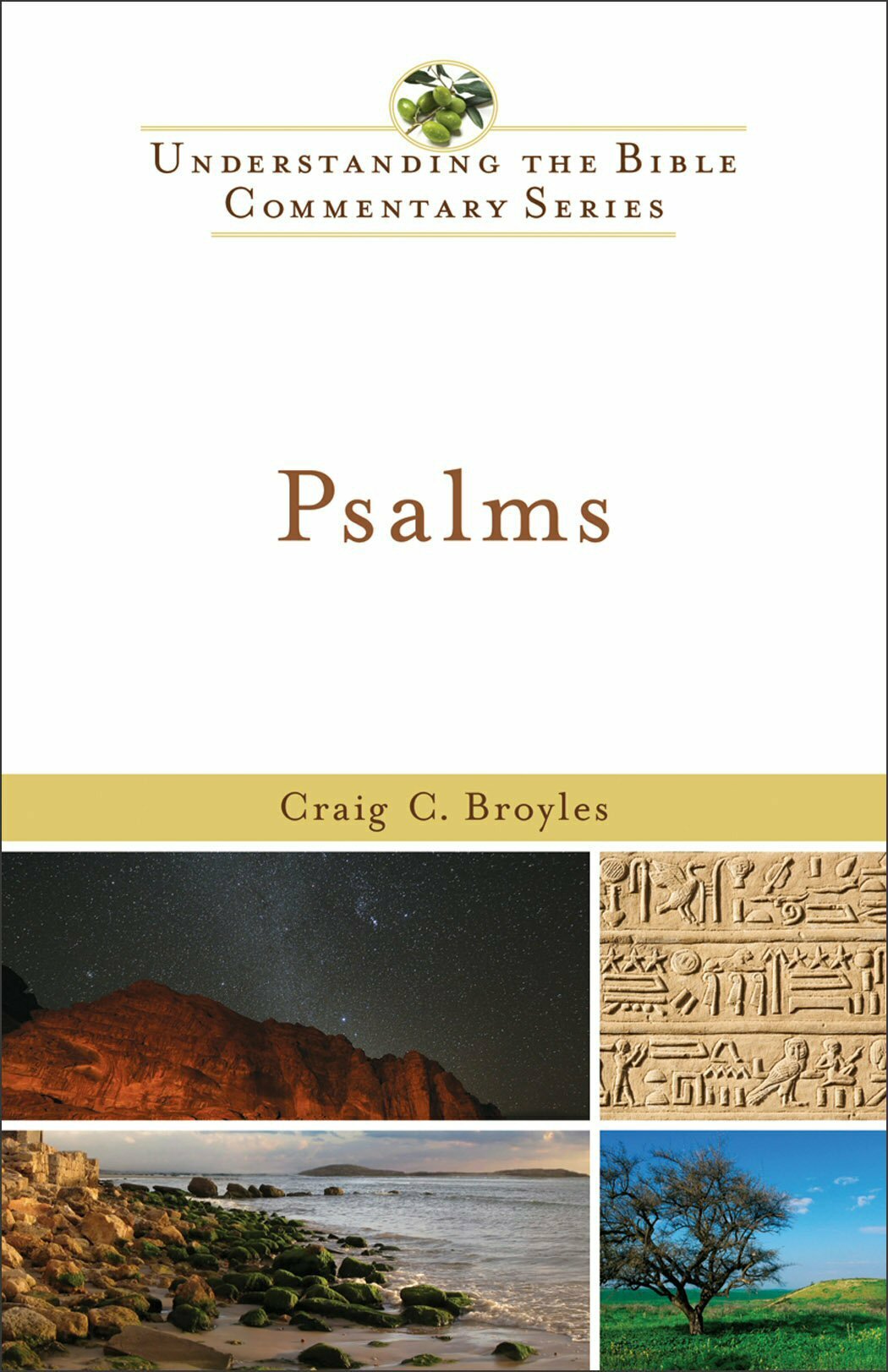 Psalms (Understanding the Bible Commentary | UBCS)