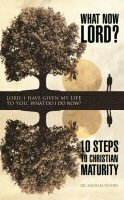 What Now Lord?: 10 Steps to Christian Maturity