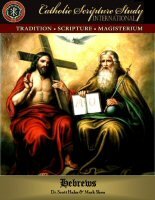 Catholic Scripture Study International: The Book of Hebrews