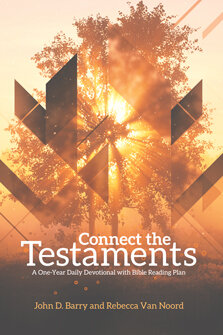 Connect the Testaments: A 365-Day Devotional with Bible Reading Plan
