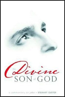 The Divine Son of God: A Commentary on John
