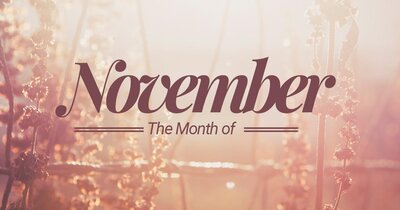 The Month November