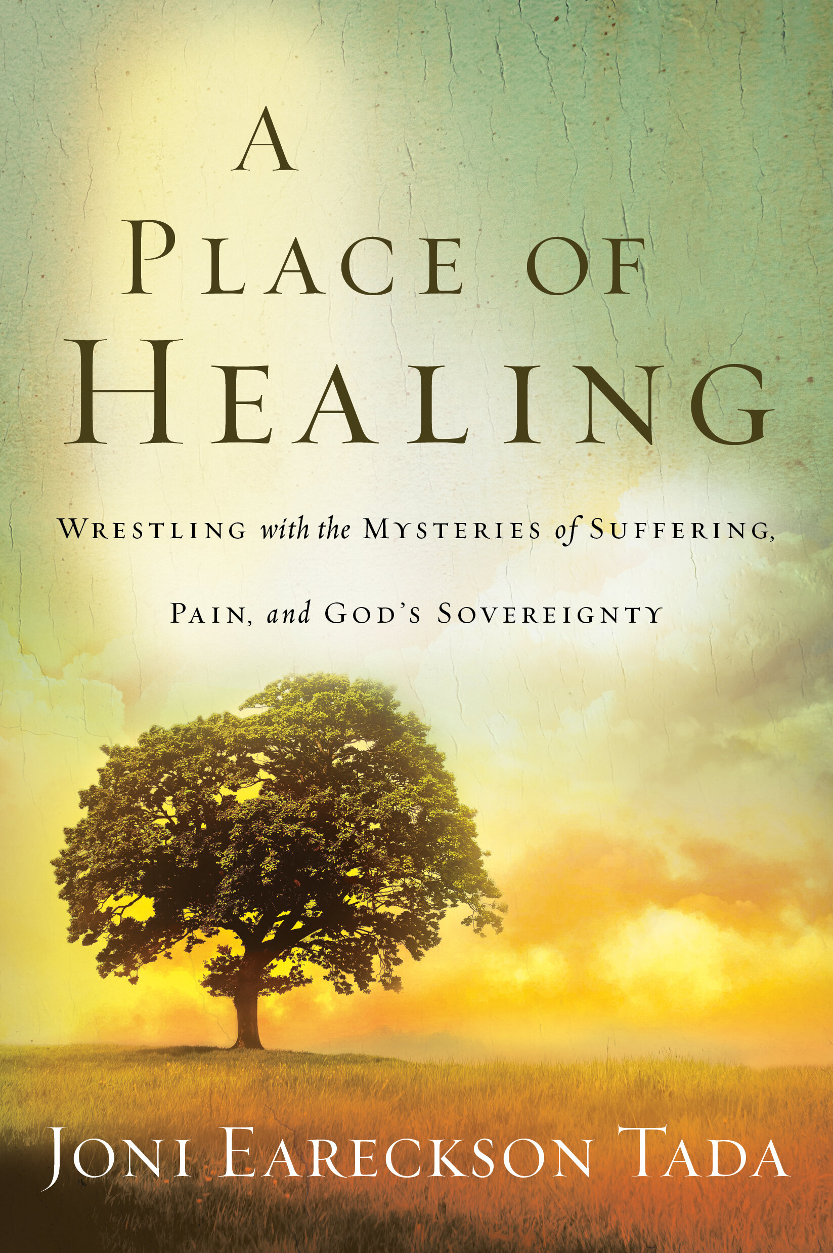 A Place of Healing: Wrestling with the Mysteries of Suffering, Pain, and God's Sovereignty