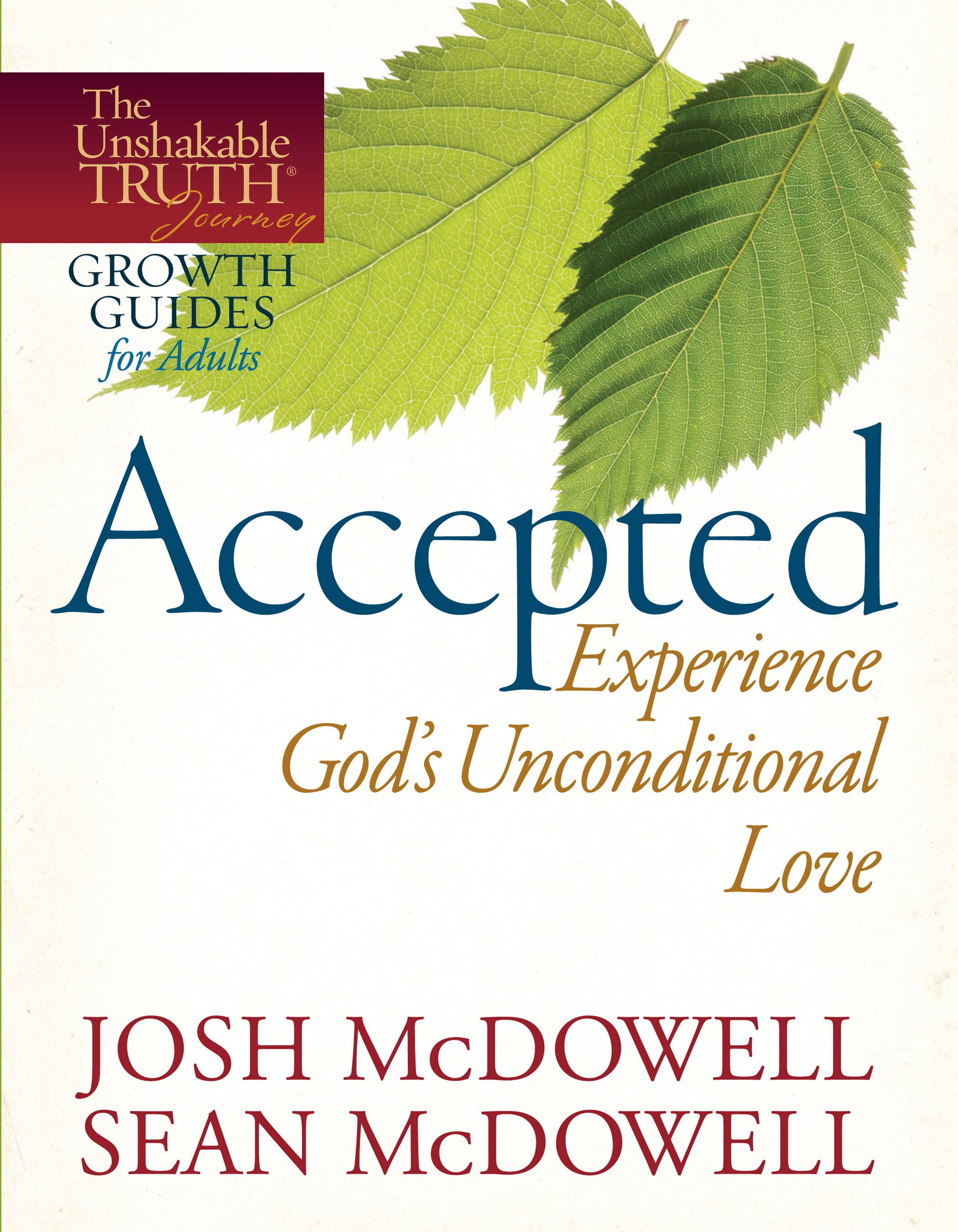 Accepted—Experience God's Unconditional Love: The Unshakable Truth Journey Growth Guides