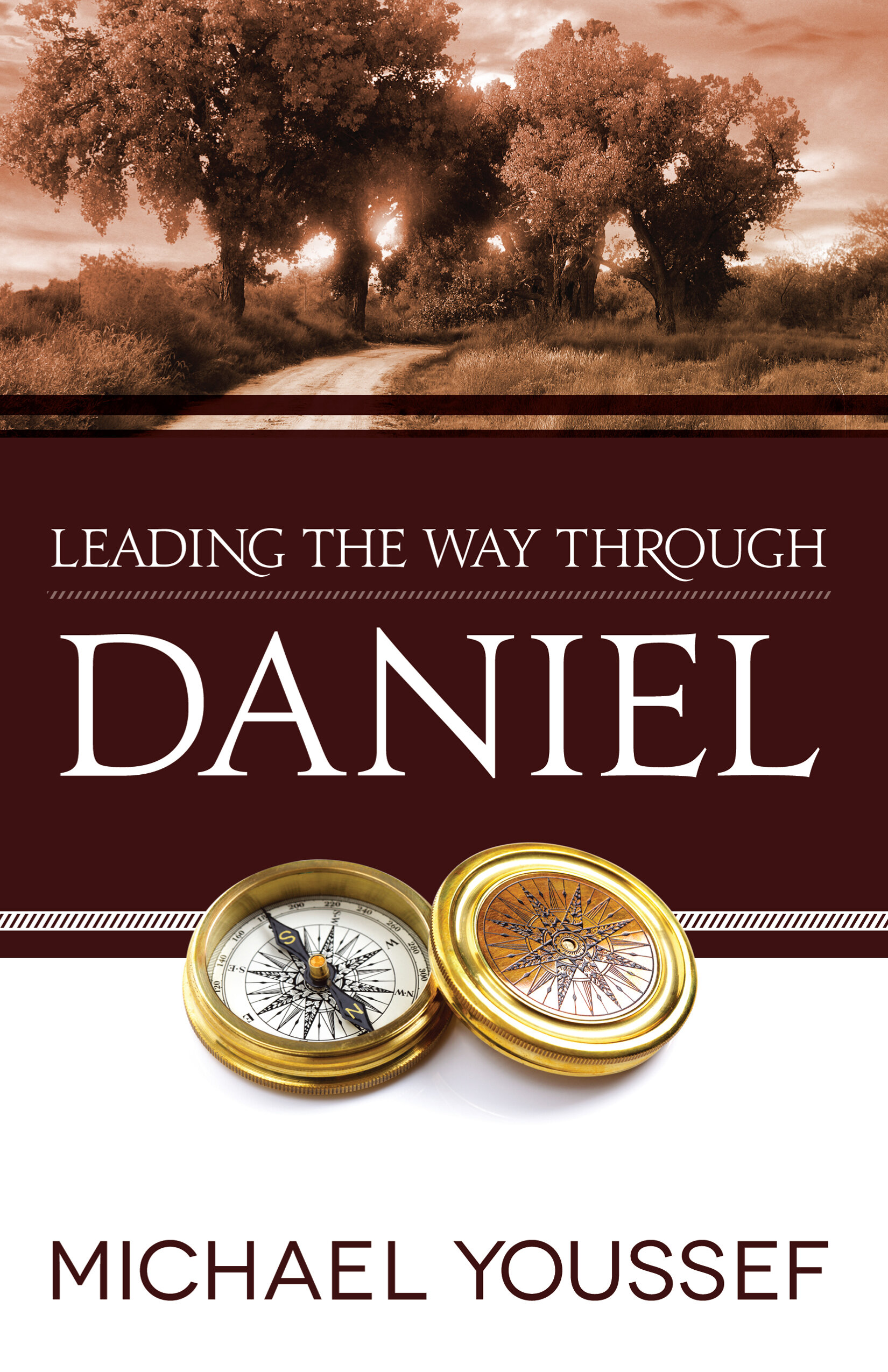 Leading the Way Through Daniel: Leading the Way Through the Bible