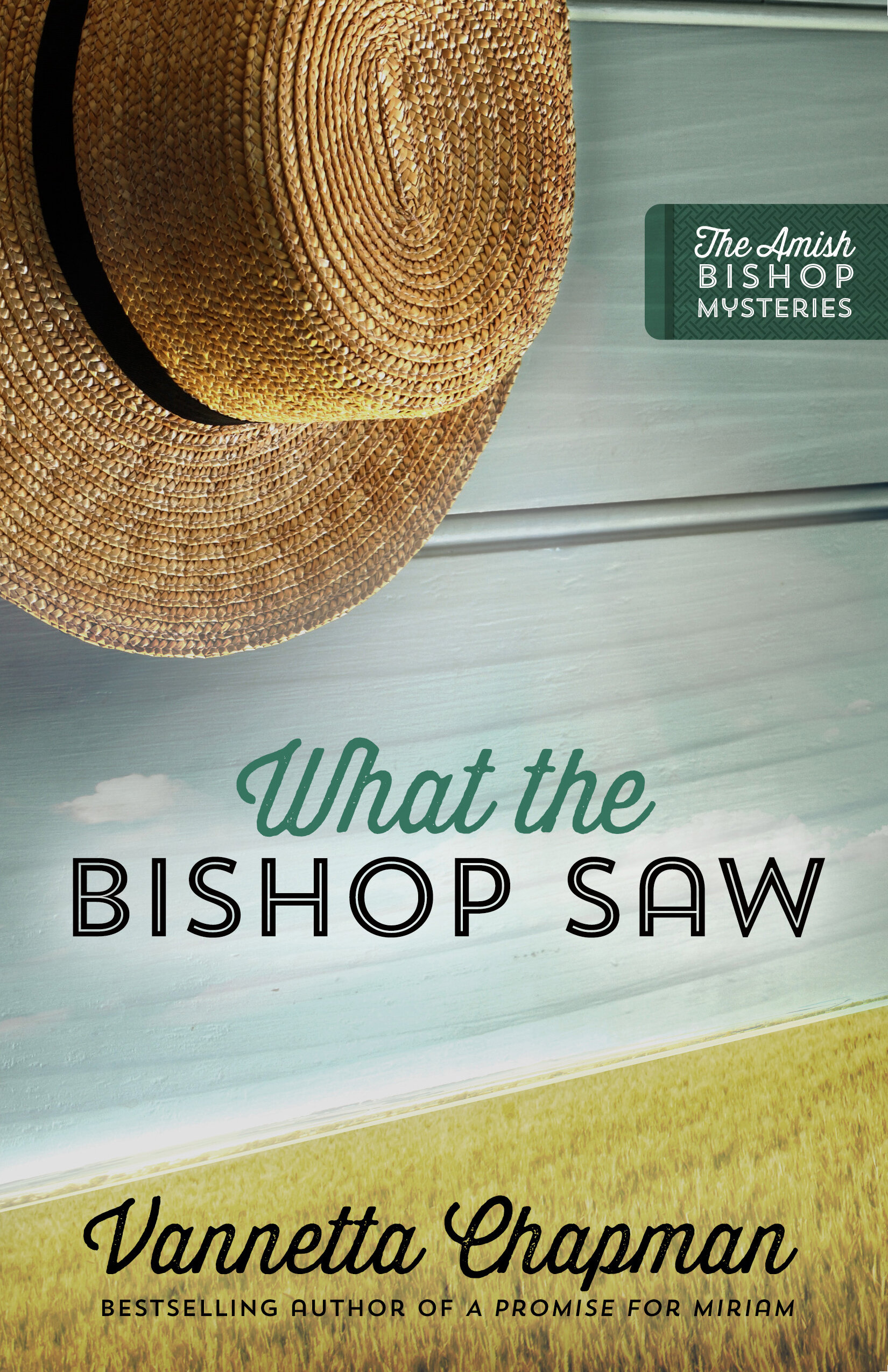 What the Bishop Saw: The Amish Bishop Mysteries