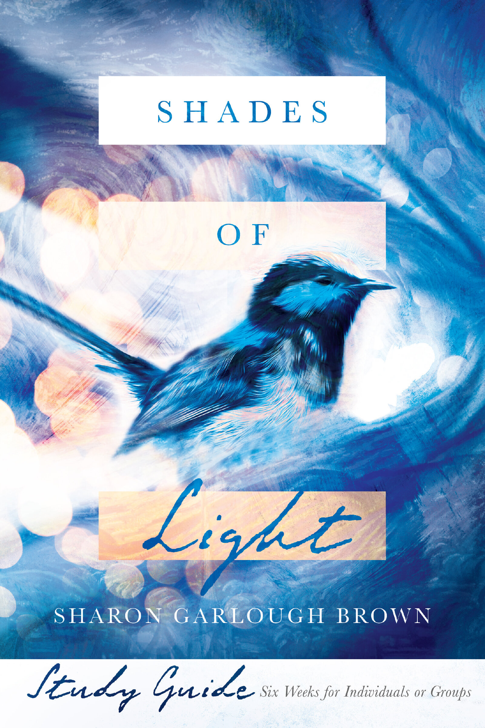 Shades of Light Study Guide: Shades of Light Series