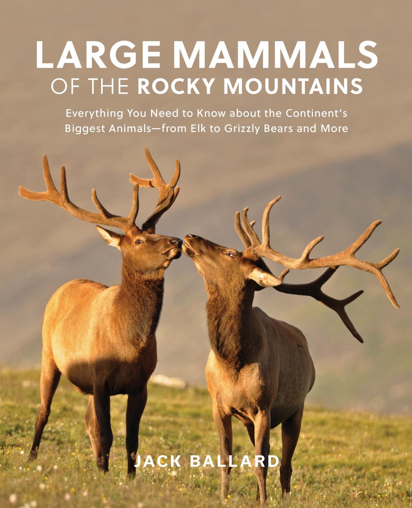 Large Mammals of the Rocky Mountains Everything You Need to Know about