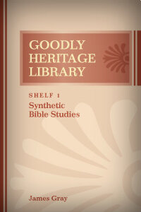 Synthetic Bible Studies