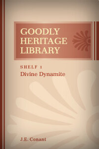 Divine Dynamite