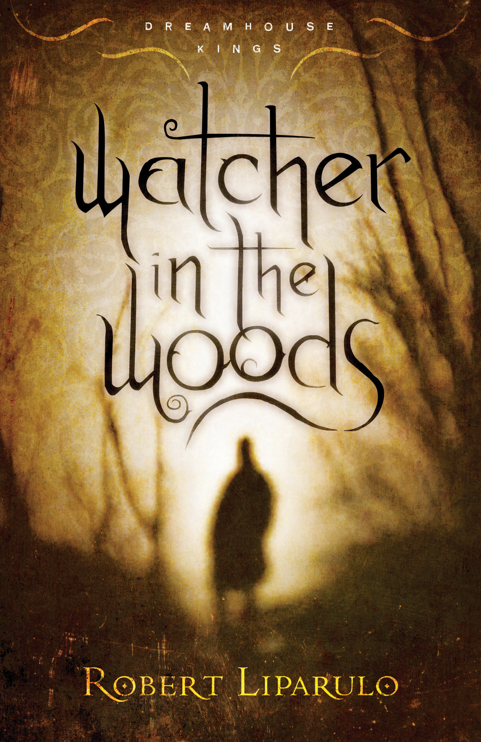 Watcher in the Woods: A thrilling read for the whole family