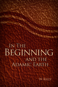 In the Beginning and the Adamic Earth