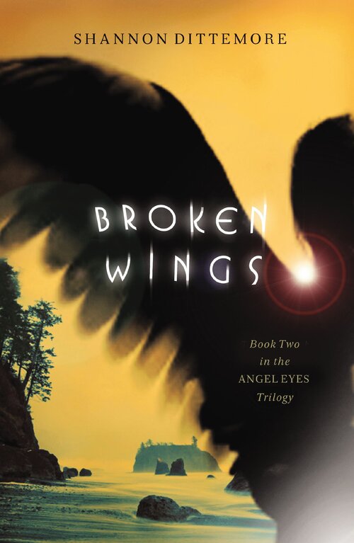 Broken Wings
