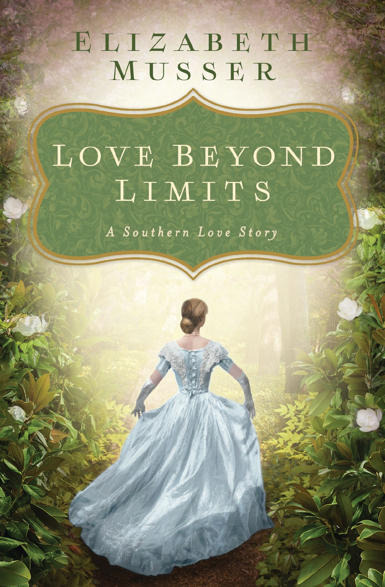 Love Beyond Limits: A Southern Love Story