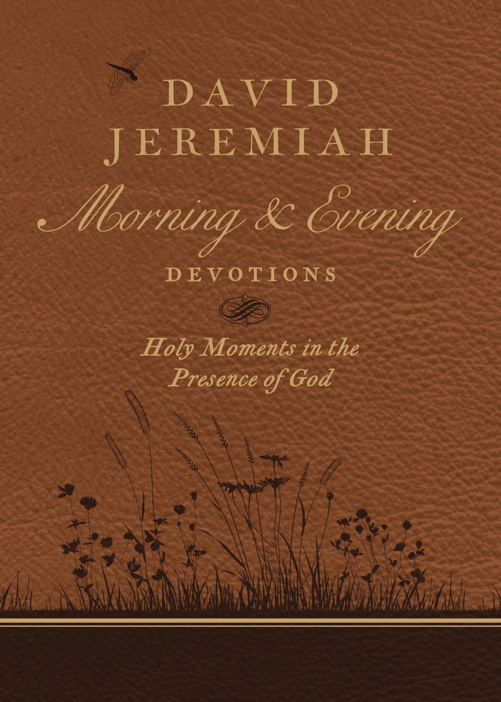 David Jeremiah Morning and Evening Devotions Holy Moments in the