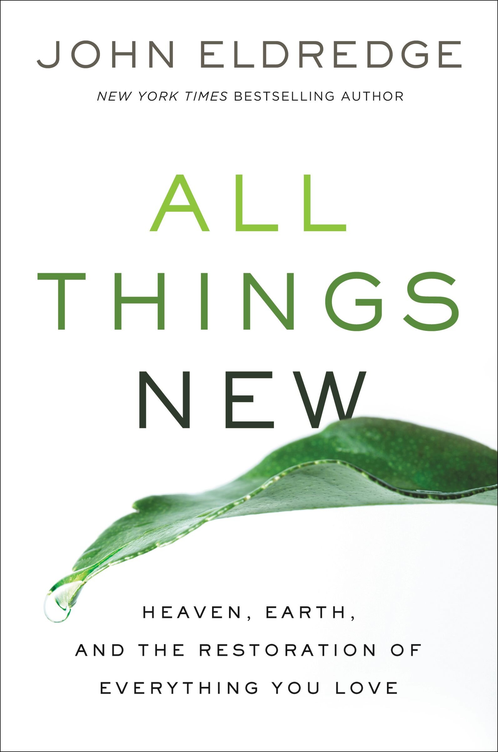 all-things-new-heaven-earth-and-the-restoration-of-everything-you