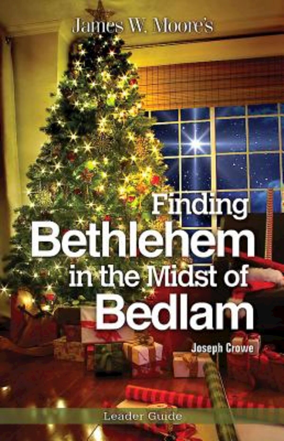 Finding Bethlehem in the Midst of Bedlam Leader Guide: An Advent Study
