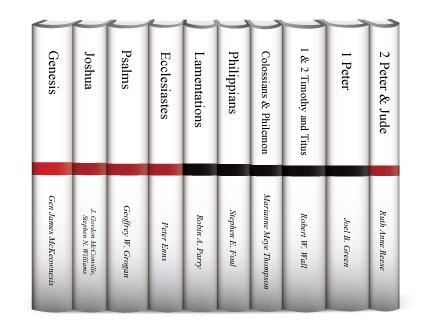 Two Horizons Commentary (10 vols.)