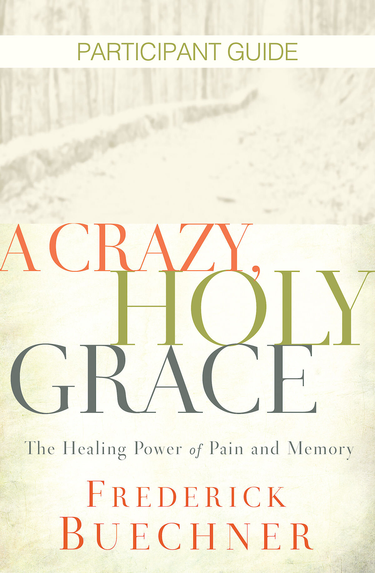 A Crazy, Holy Grace Participant Guide: The Healing Power of Pain and Memory