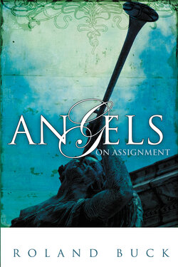 angel on assignment by roland buck