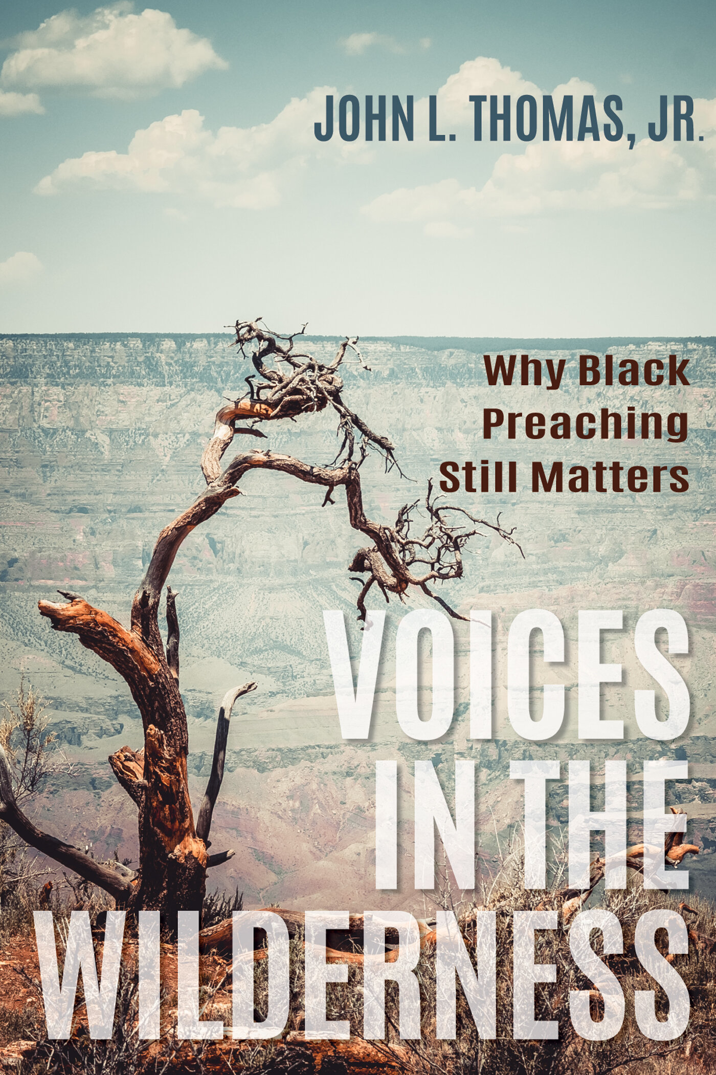 Voices in the Wilderness: Why Black Preaching Still Matters