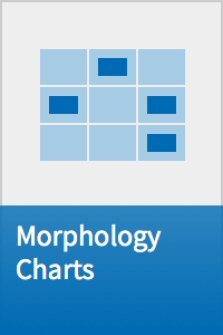 Morphology Charts