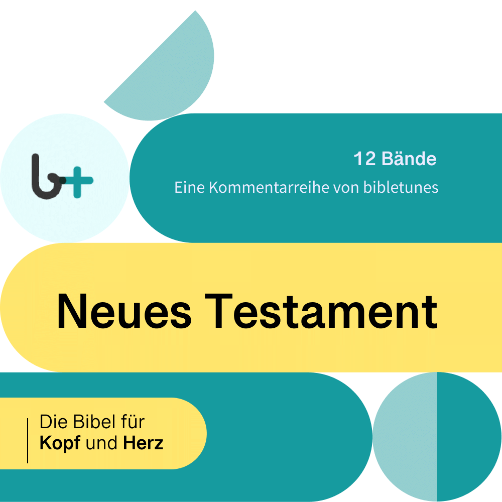 Neues Testament: Die Bibel für Kopf und Herz (Der bibletunes-Kommentar) (12 Bde.)